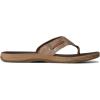 Sperry Men’s Baitfish Thong Sandals(Brown)