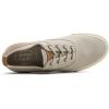 Sperry Men’s Striper Knit Sneaker(Grey)