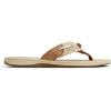 Sperry womens ParrotfishFlip-Flop(Brown)