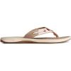 Sperry Ladies Footwear womens Seafish(Multi)