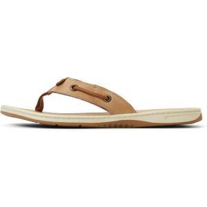 Sperry womens Sea Fish(Beige)
