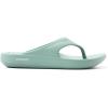 Sperry Men’s Flow Flip Flop Sandal(Light Green)