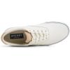 Sperry Men’s Helm CVO Canvas Sneaker(White)