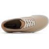 Sperry Men’s Helm CVO Canvas Sneaker(Taupe)
