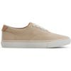 Sperry Men’s Helm CVO Canvas Sneaker(Taupe)